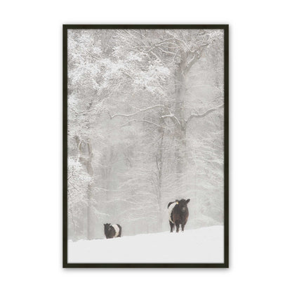 [Color:Satin Black],
