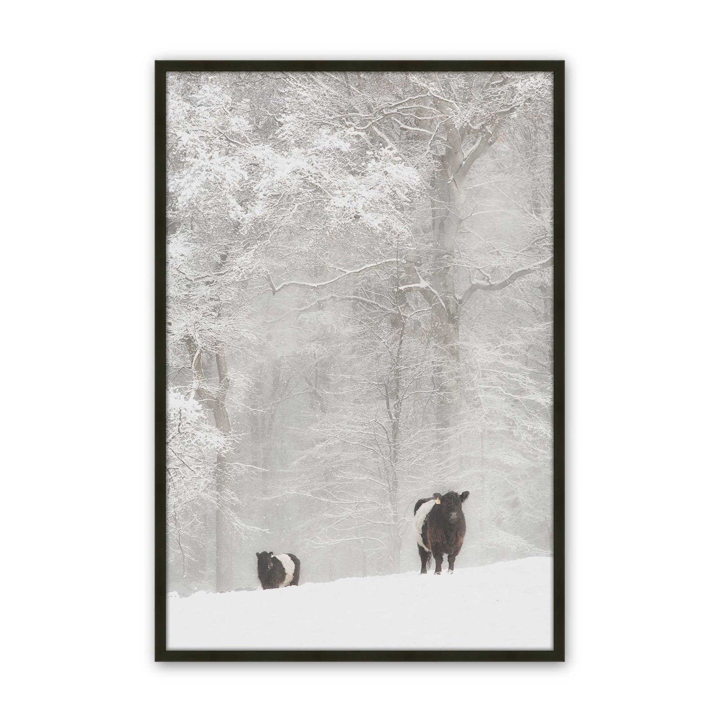 [Color:Satin Black], Picture of art in a Satin Black frame