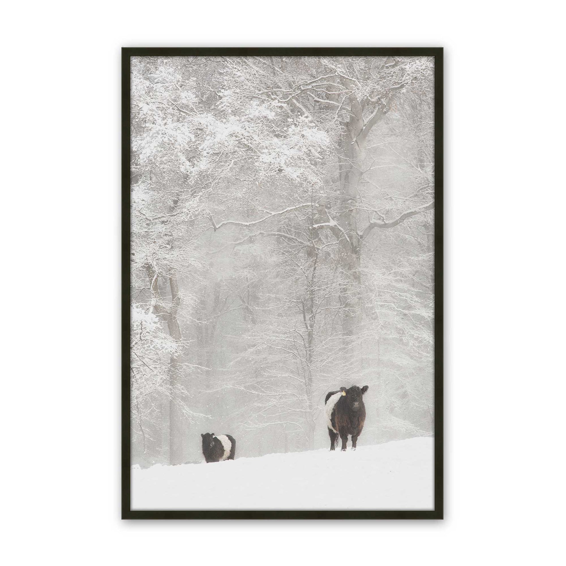 [Color:Satin Black], Picture of art in a Satin Black frame