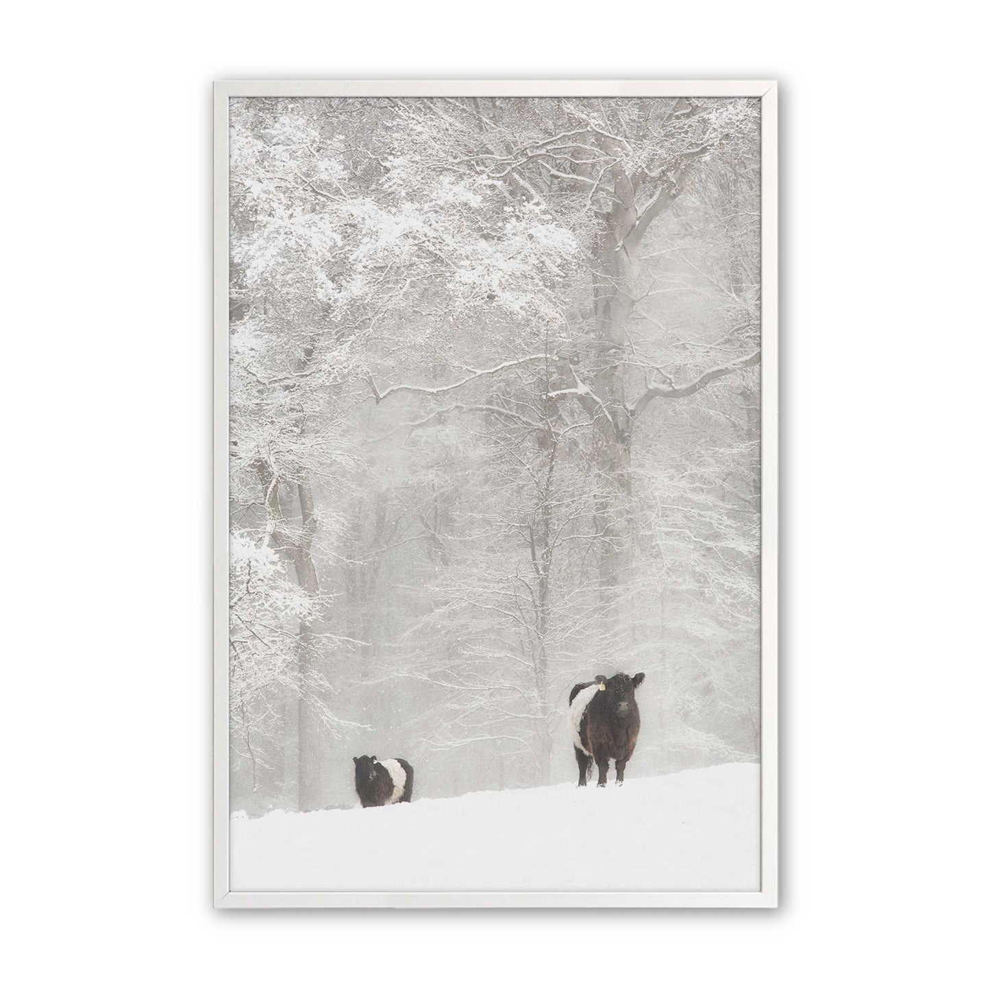 [Color:Opaque White], Picture of art in a Opaque White frame