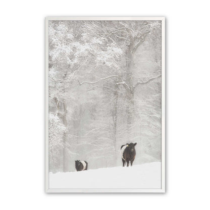 [Color:Opaque White], Picture of art in a Opaque White frame