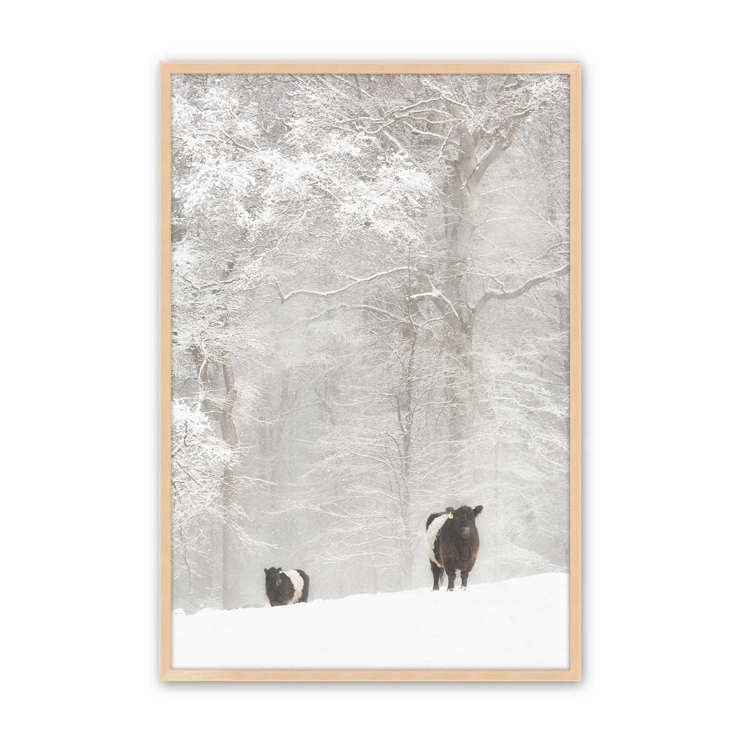 [Color:Raw Maple], Picture of art in a Raw Maple frame