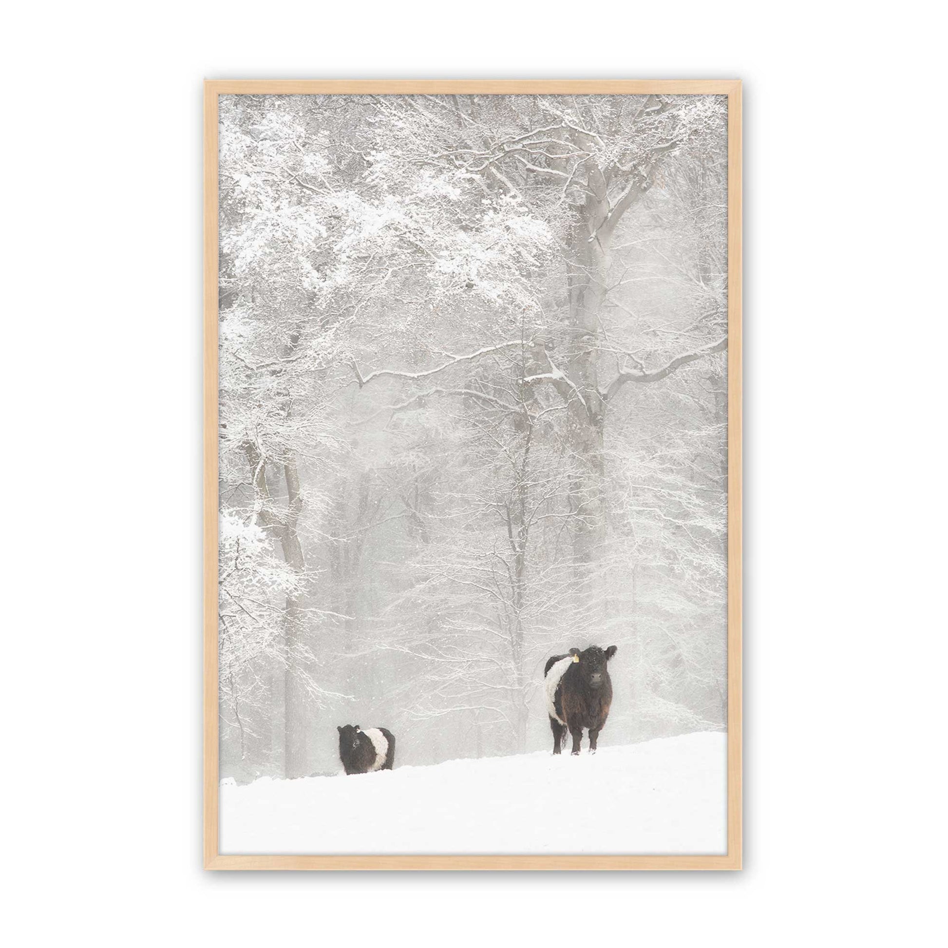 [Color:Raw Maple], Picture of art in a Raw Maple frame