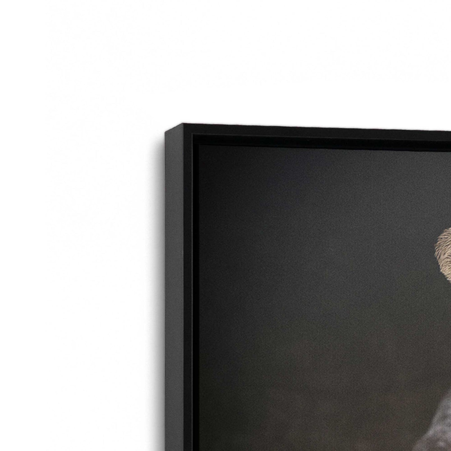 [Color:Satin Black], Picture of art in a Satin Black frame at an angle