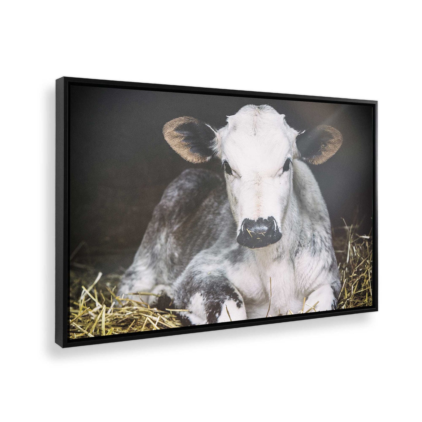 [Color:Satin Black], Picture of the corner of the art