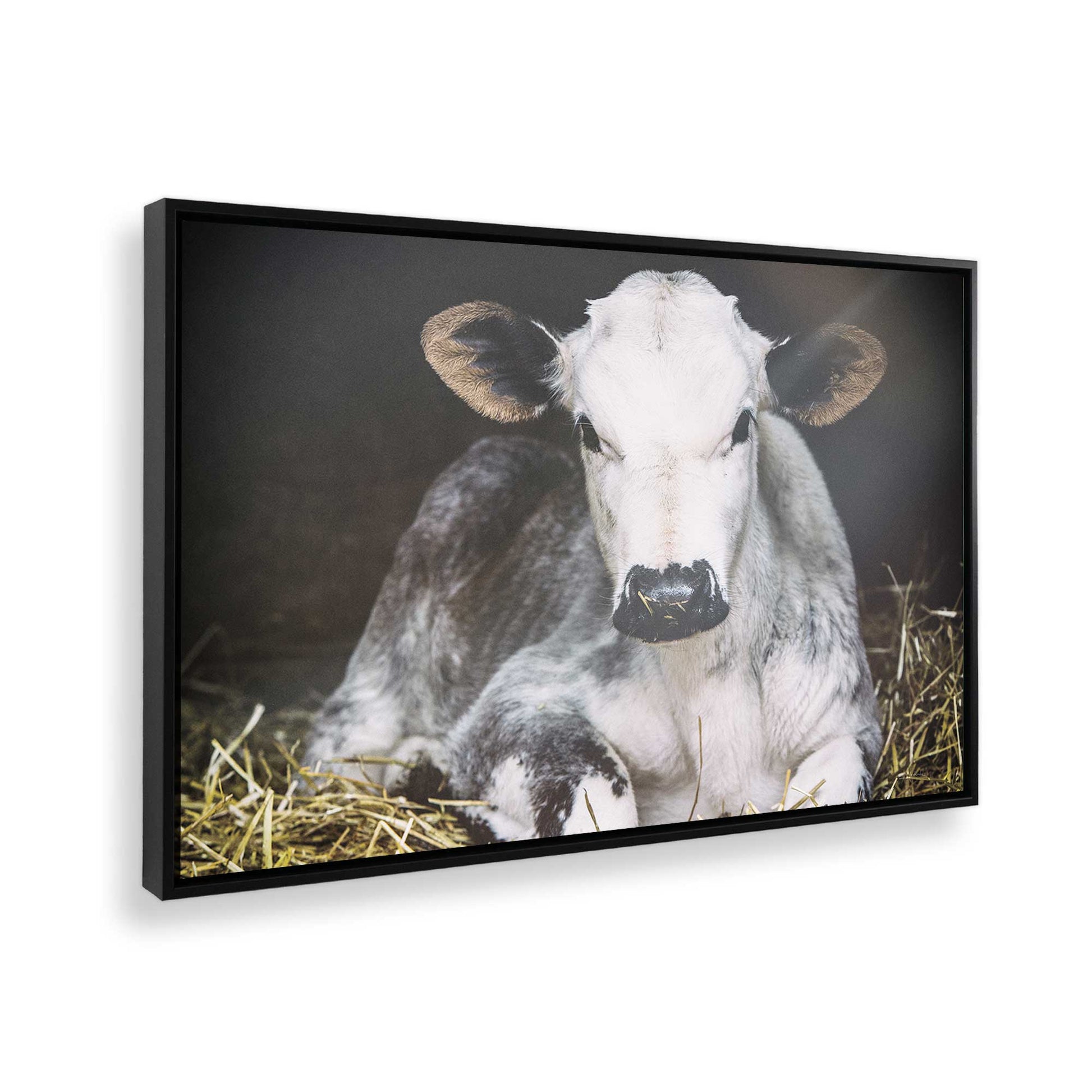 [Color:Satin Black], Picture of the corner of the art