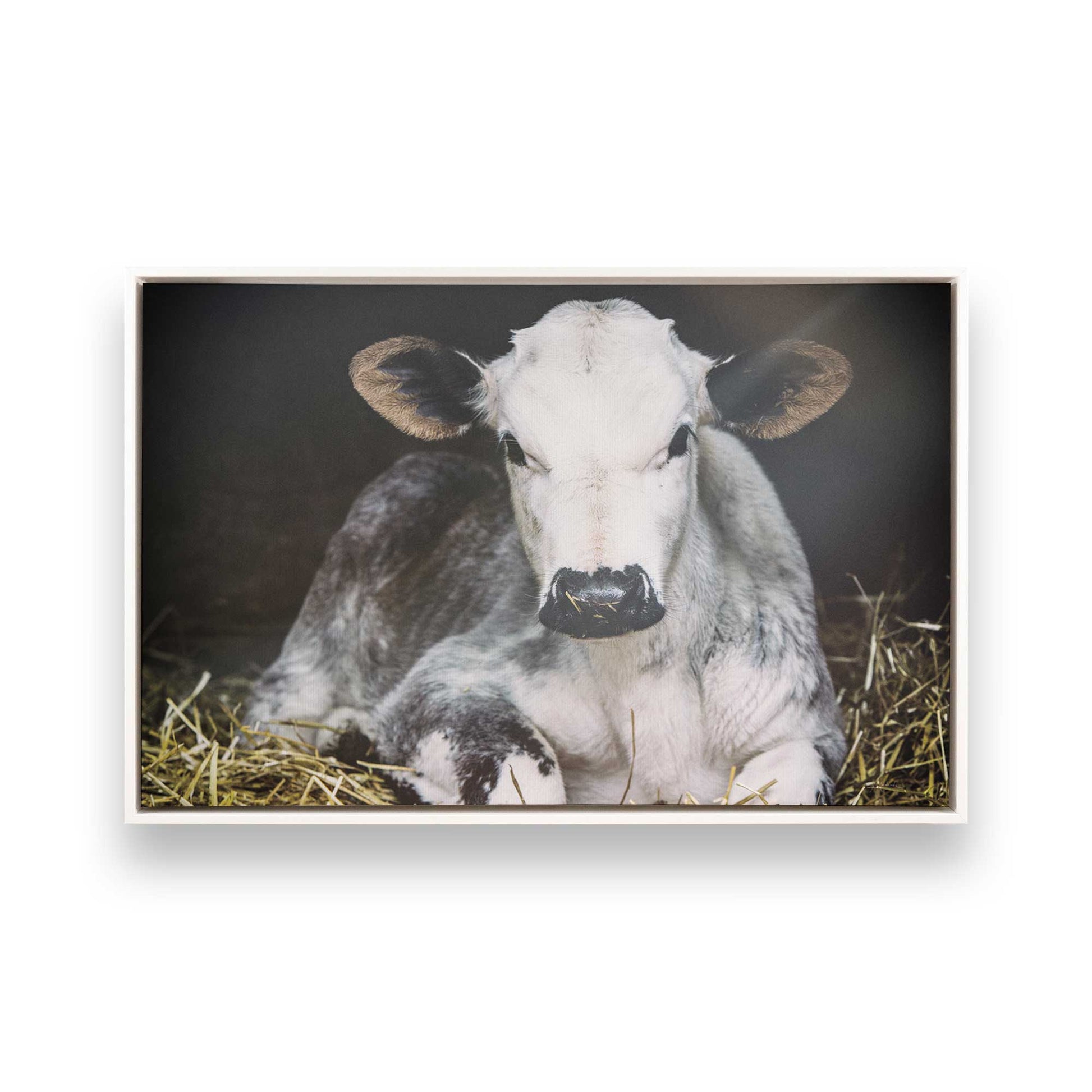 [Color:Opaque White], Picture of art in a White frame