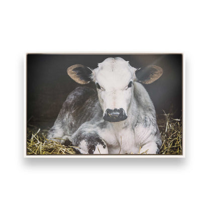 [Color:Opaque White], Picture of art in a White frame