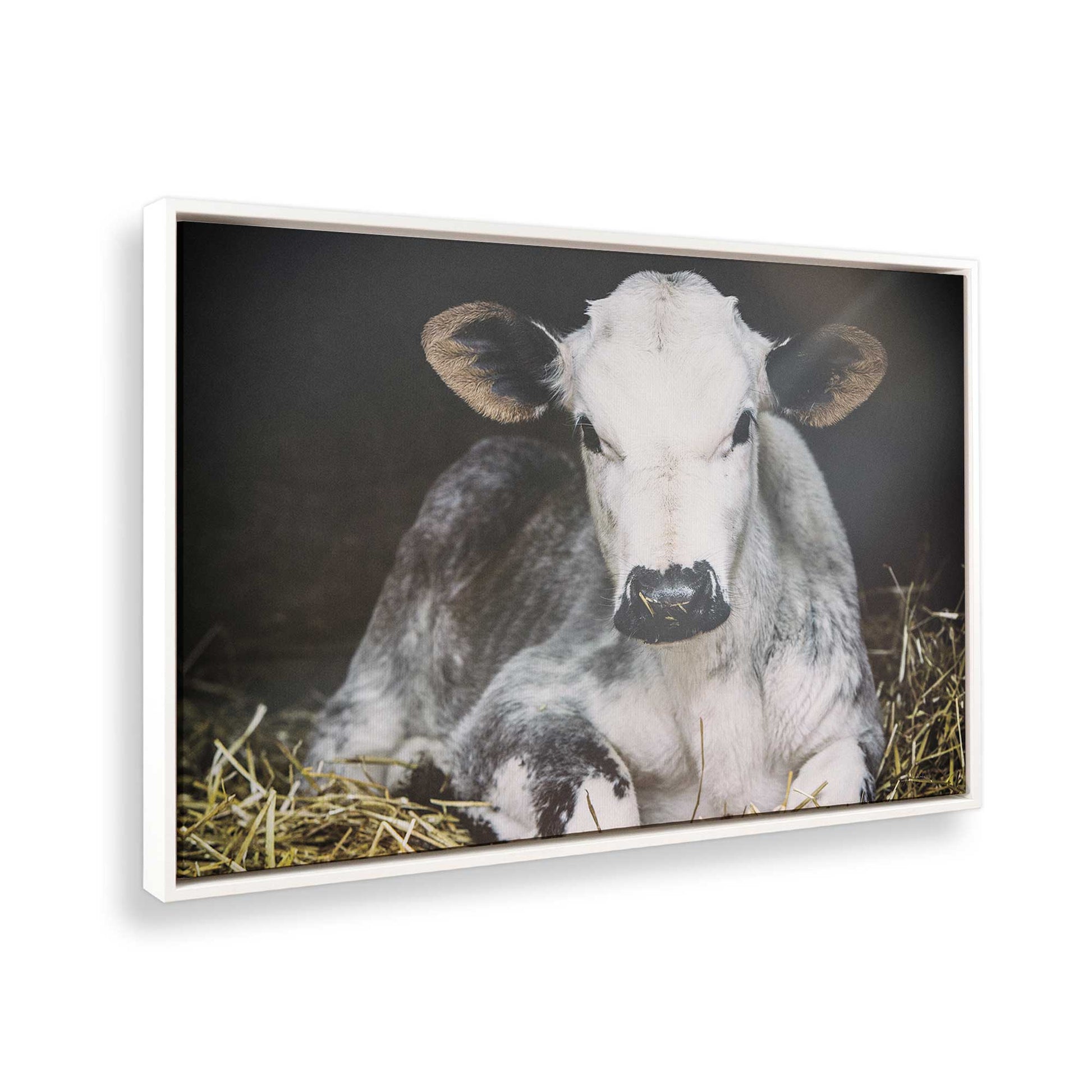 [Color:Opaque White], Picture of the corner of the art