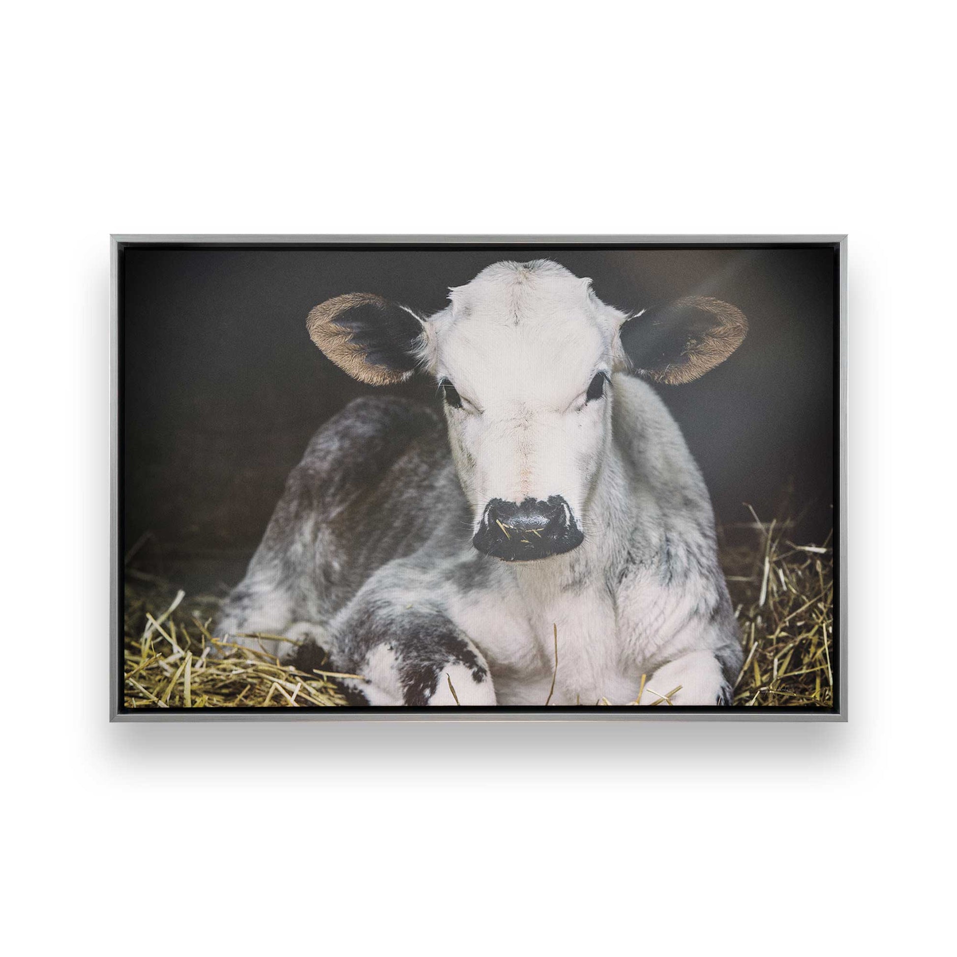 [Color:Polished Chrome], Picture of art in a Polished Chrome frame