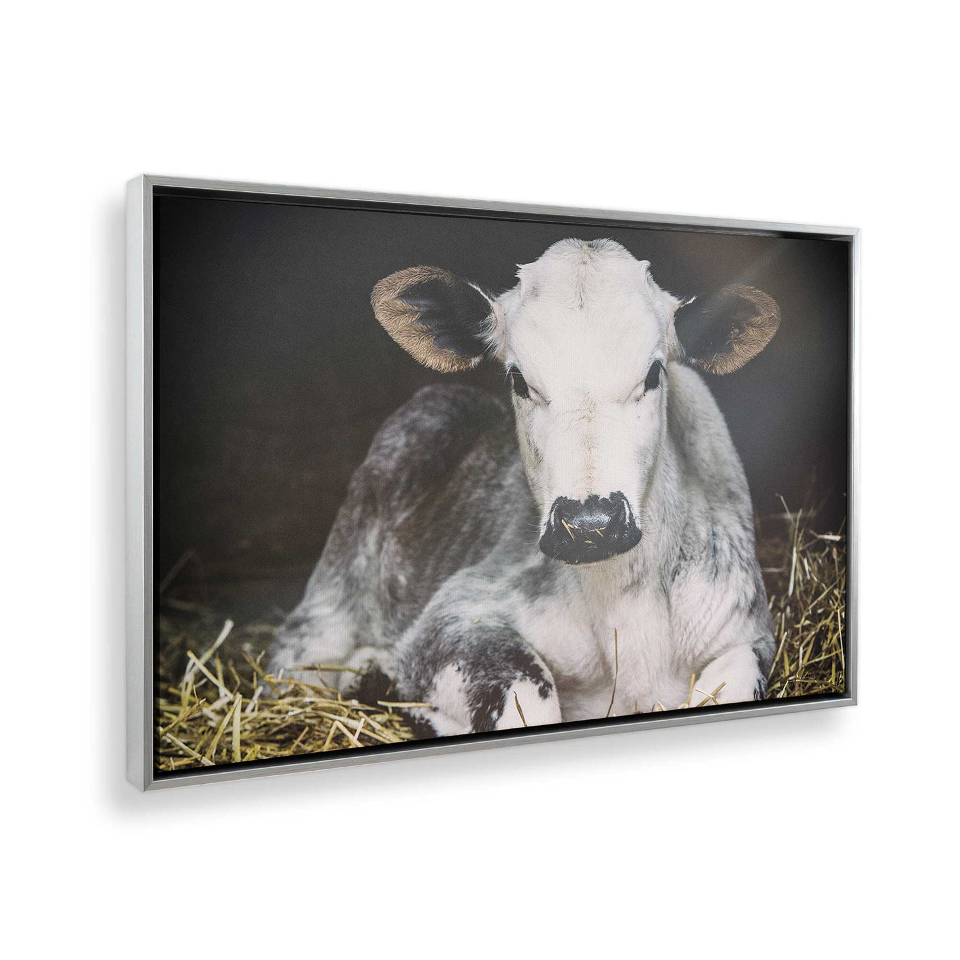 [Color:Polished Chrome], Picture of the corner of the art