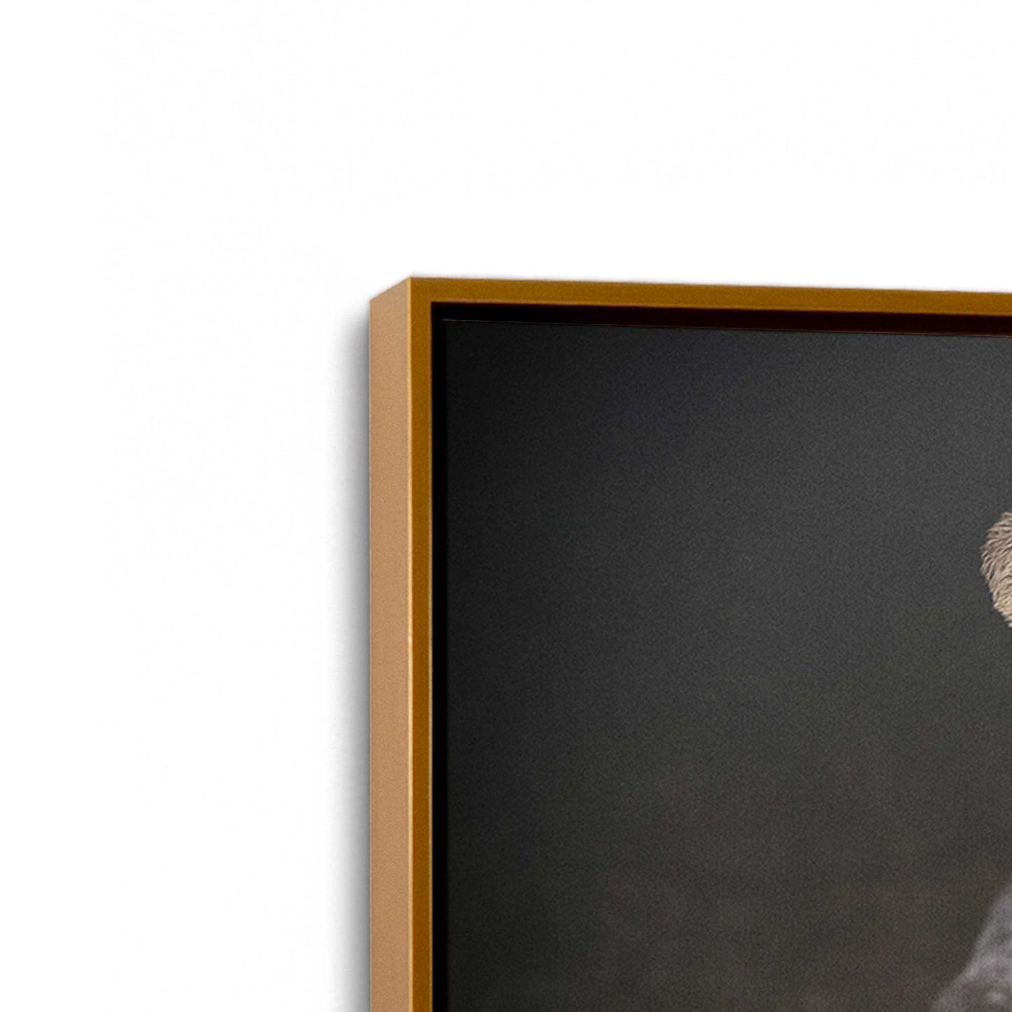 [Color:Polished Gold], Picture of art in a Polished Gold frame at an angle