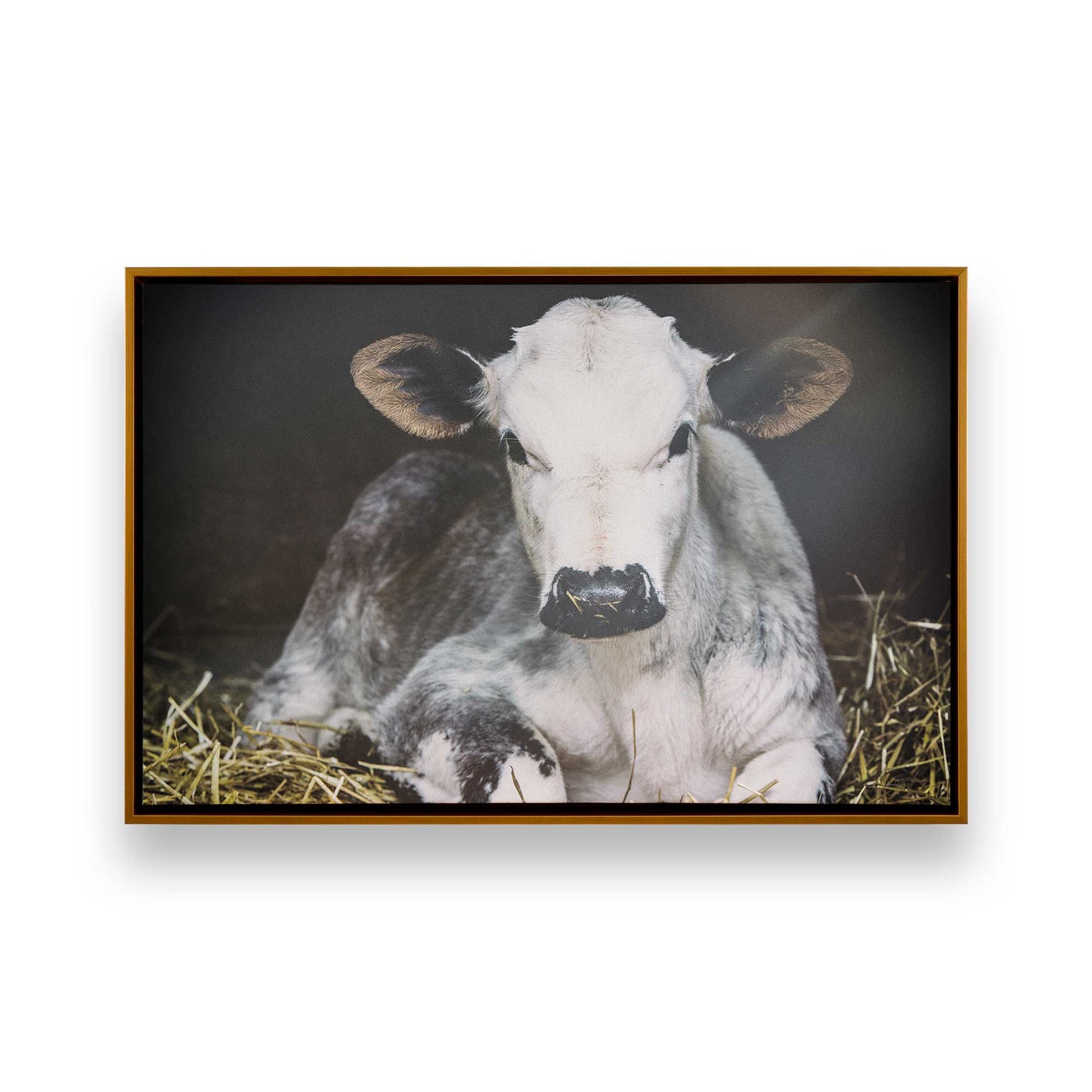 [Color:Polished Gold], Picture of art in a Polished Gold frame