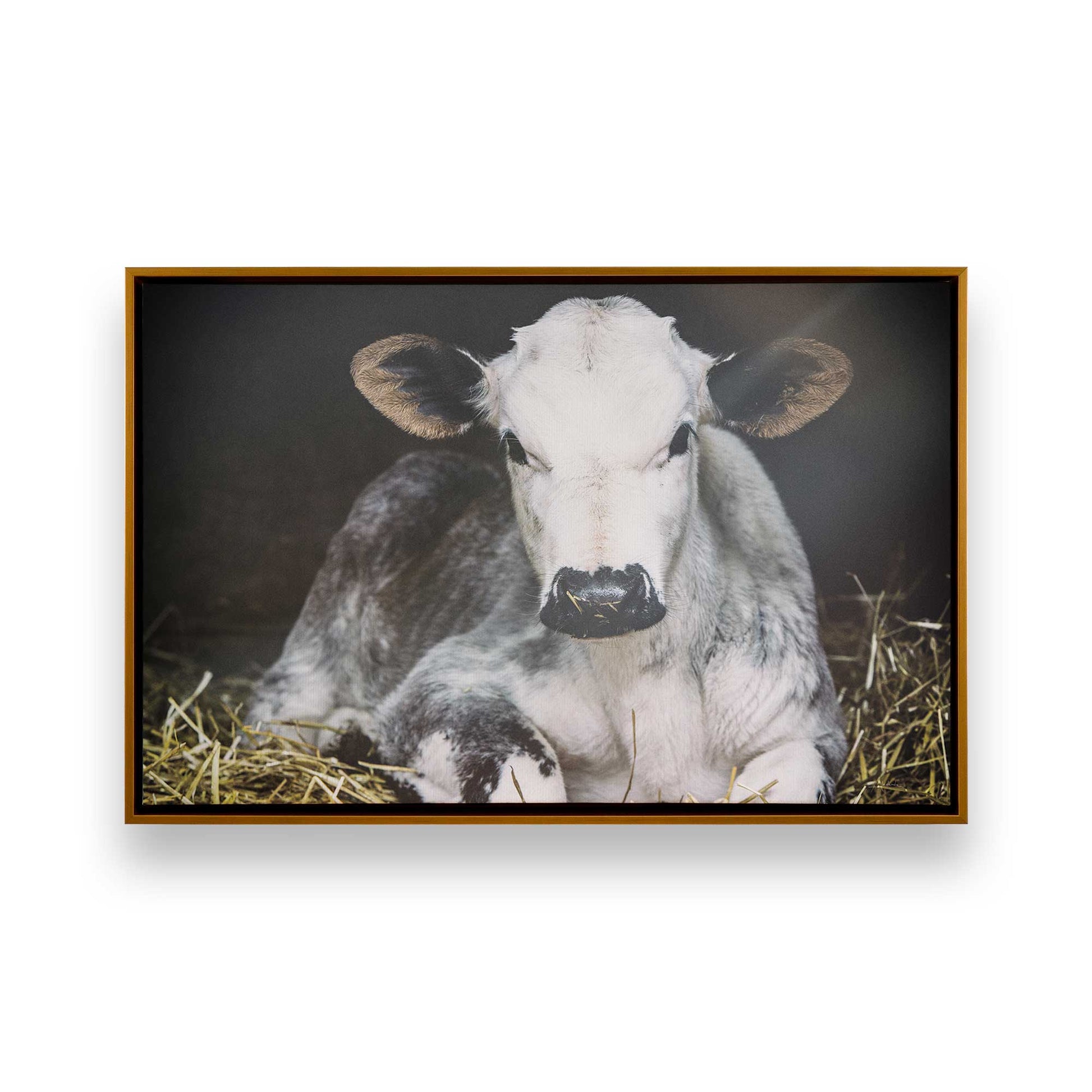 [Color:Polished Gold], Picture of art in a Polished Gold frame