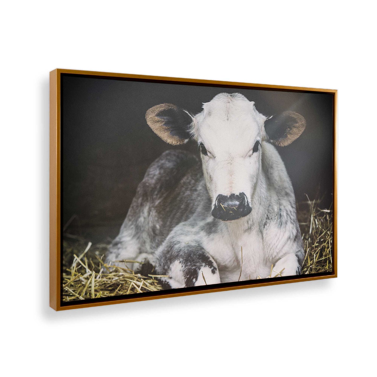 [Color:Polished Gold], Picture of the corner of the art