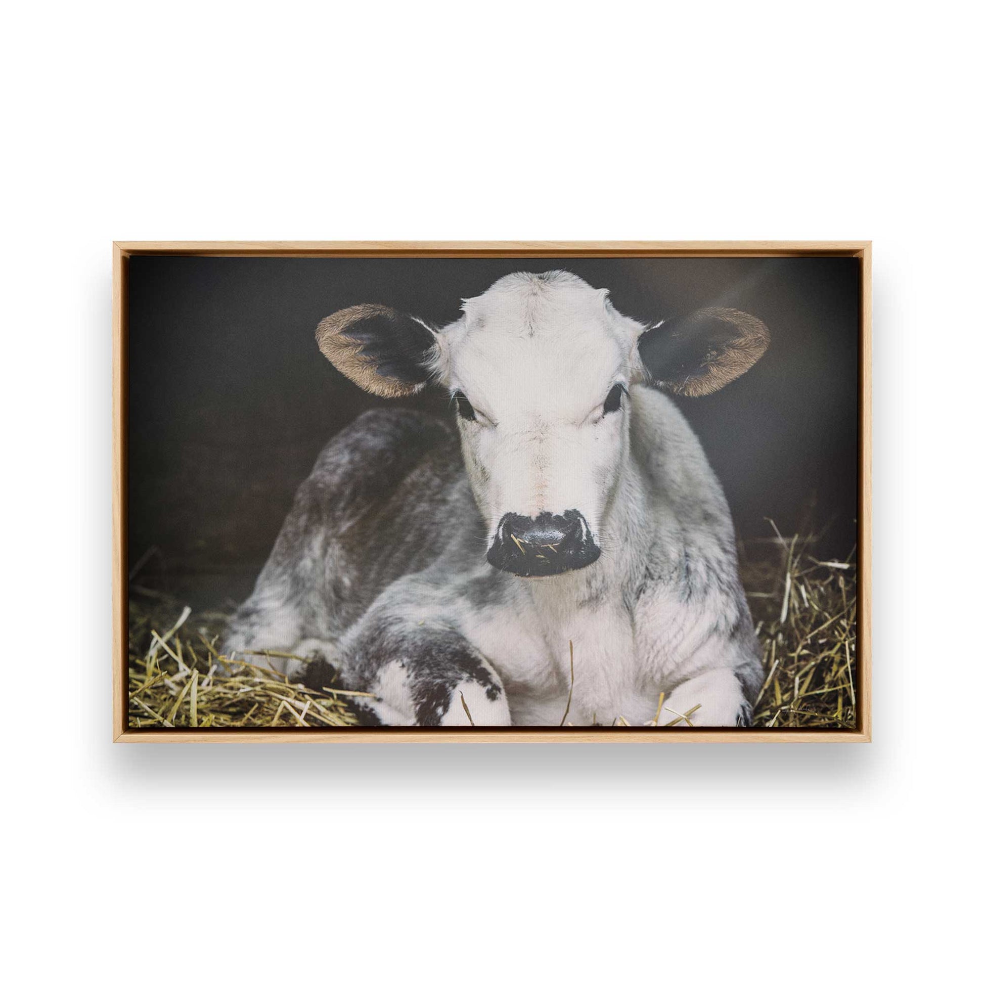 [Color:American Maple], Picture of art in a American Maple frame