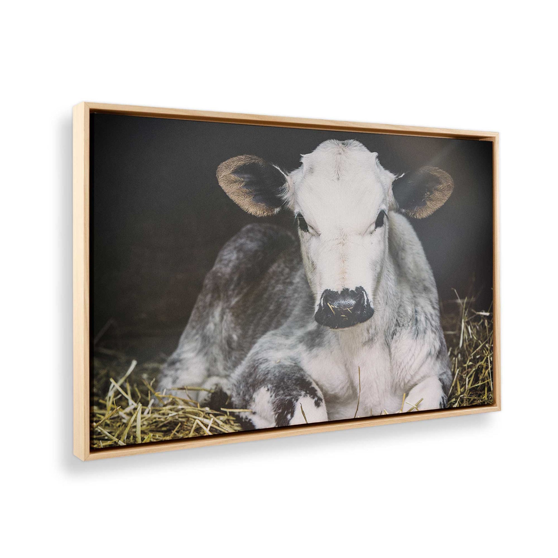 [Color:American Maple], Picture of the corner of the art