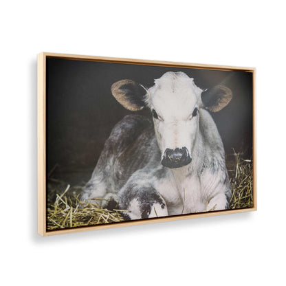 [Color:American Maple], Picture of the corner of the art