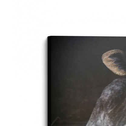 [Color:Stretched Canvas], Picture of the corner of the art