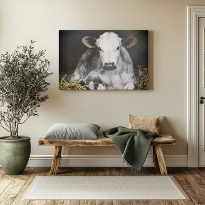 Picture of art in a room