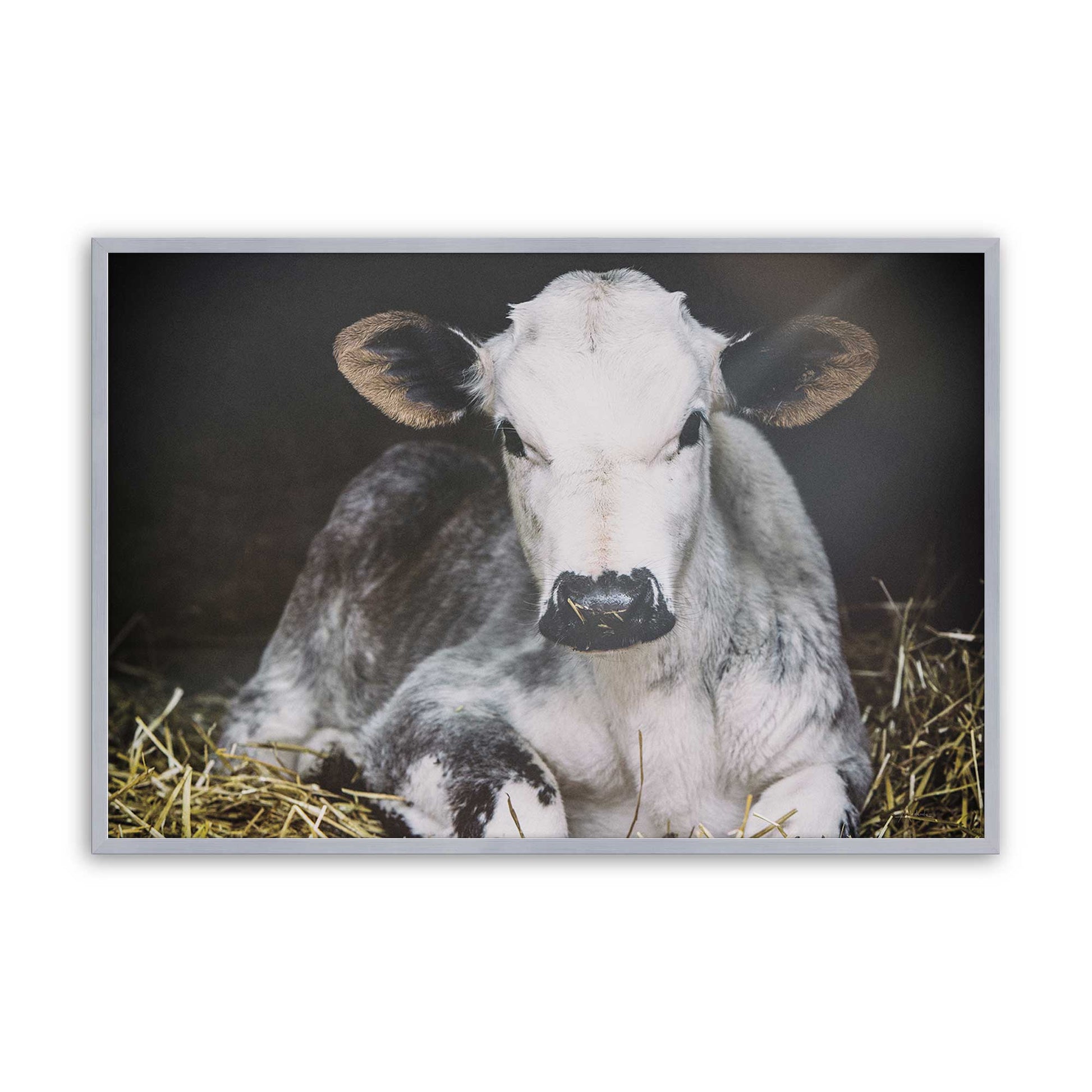 [Color:Polished Chrome], Picture of art in a Polished Chrome frame