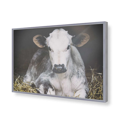 [Color:Polished Chrome], Picture of art in a Polished Chrome frame of the corner