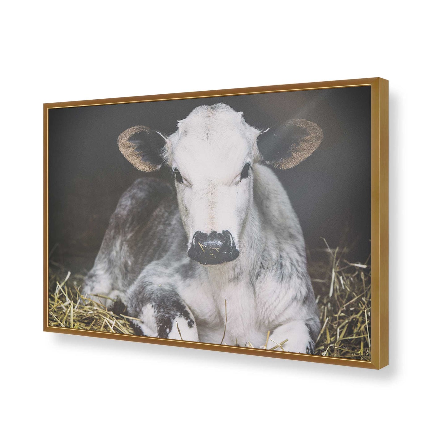 [Color:Polished Gold], Picture of art in a Polished Gold frame of the corner