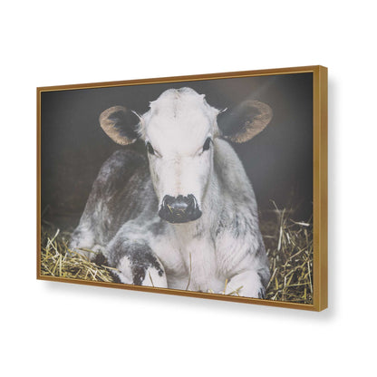 [Color:Polished Gold], Picture of art in a Polished Gold frame of the corner