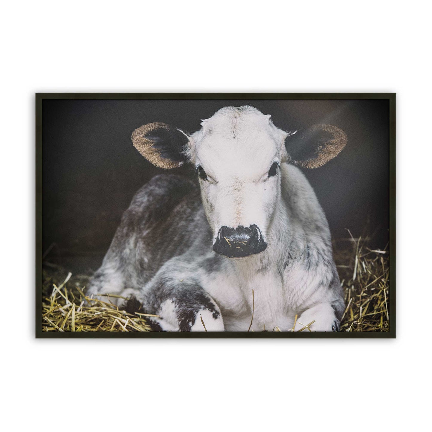 [Color:Satin Black], Front of the art