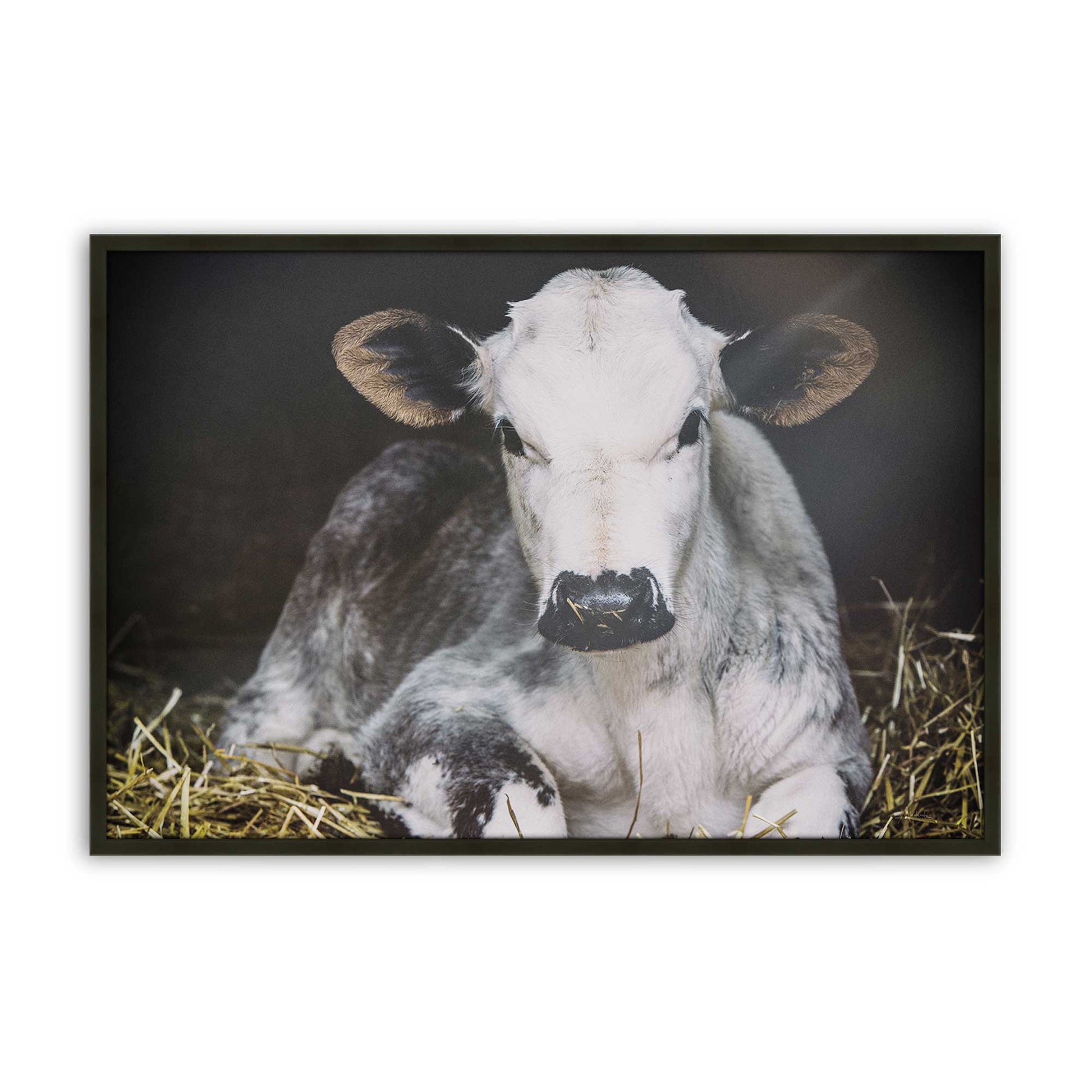 [Color:Satin Black], Front of the art