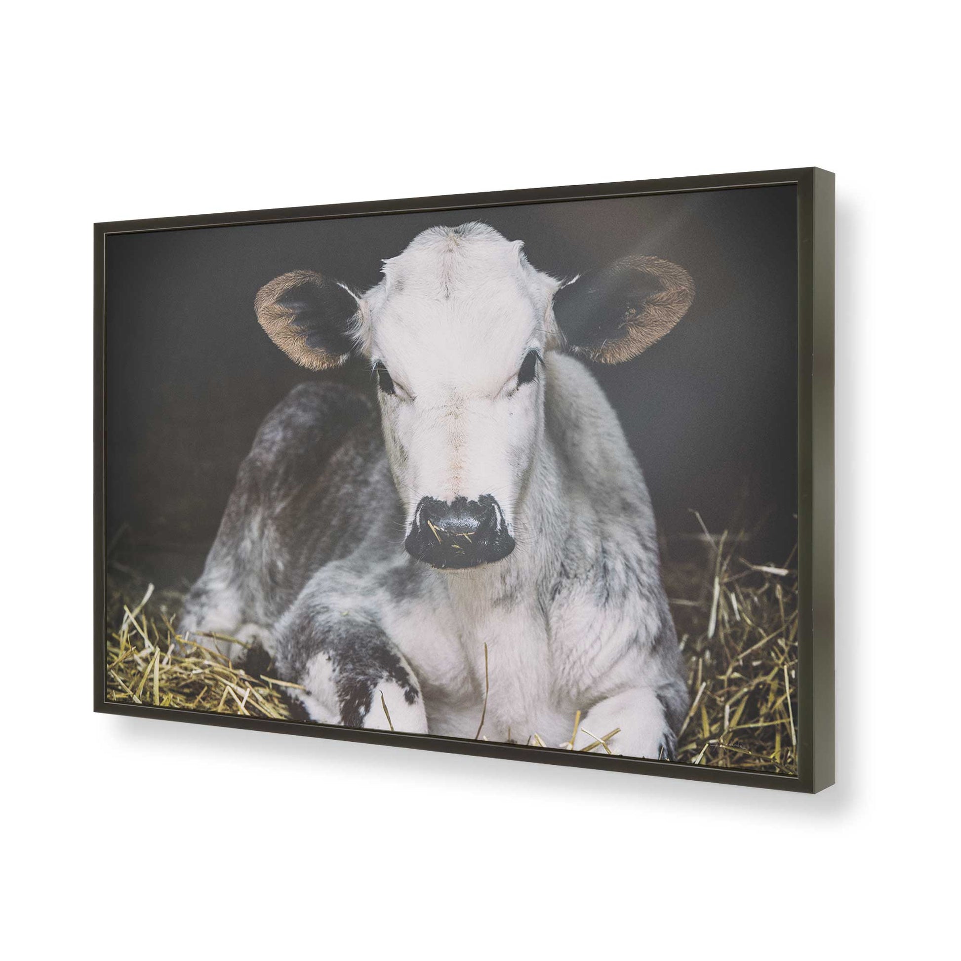 [Color:Satin Black], Picture of art in a Satin Black frame of the corner