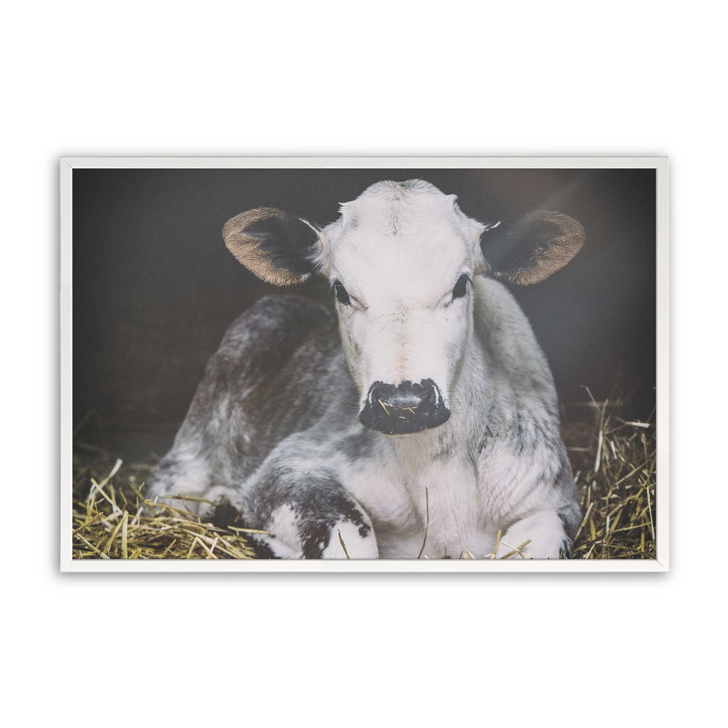 [Color:Opaque White], Picture of art in a Opaque White frame