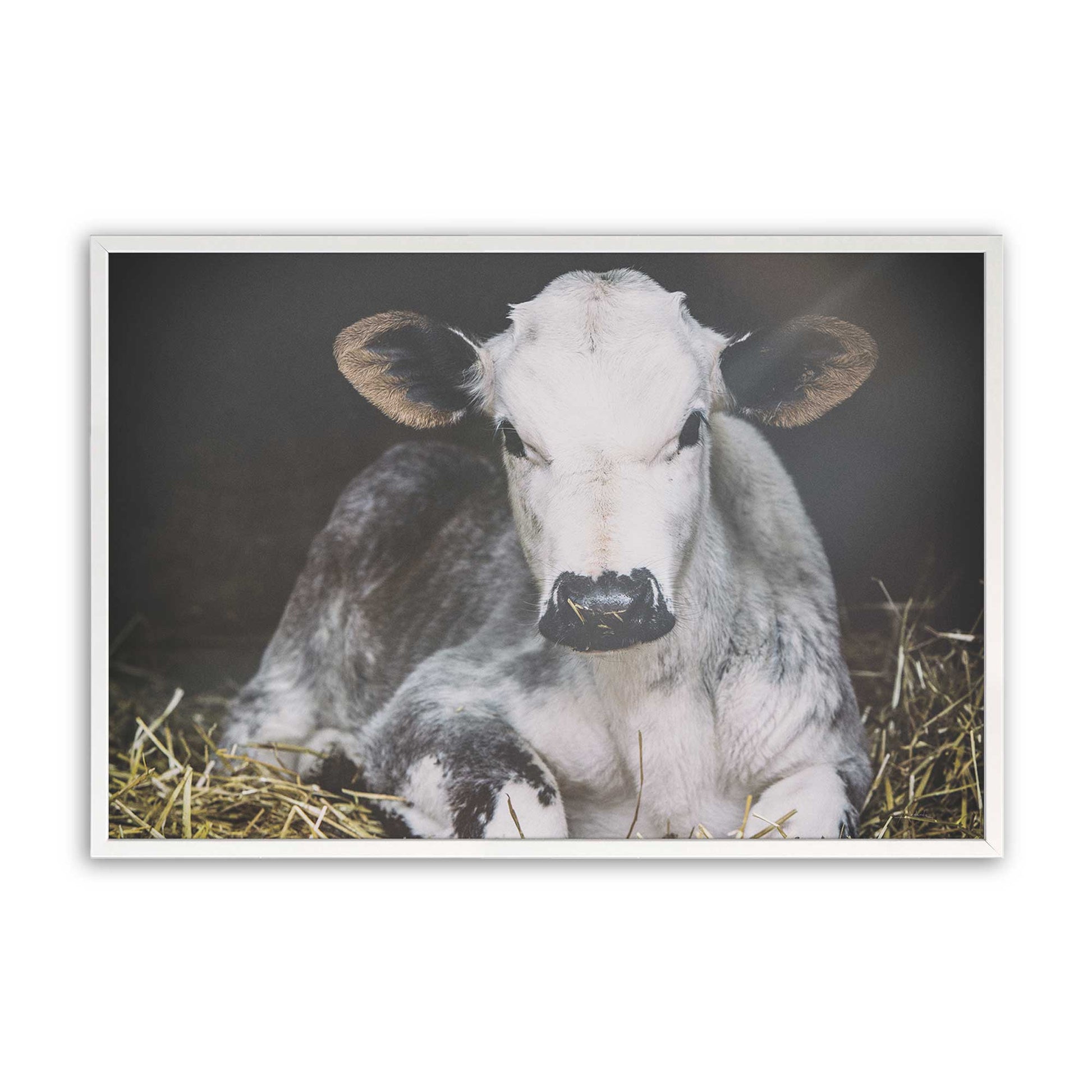 [Color:Opaque White], Picture of art in a Opaque White frame