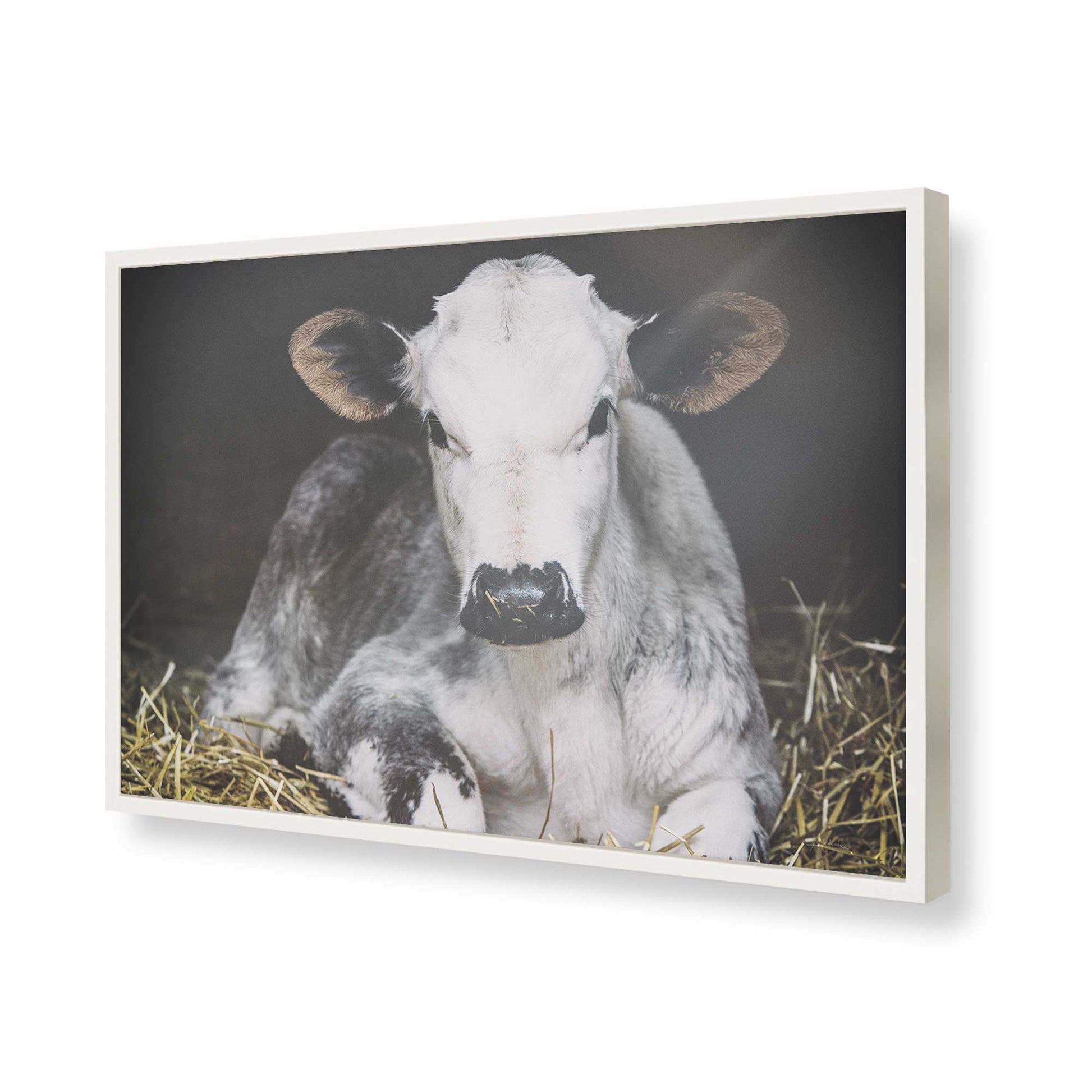 [Color:Opaque White], Picture of art in a Opaque White frame of the corner