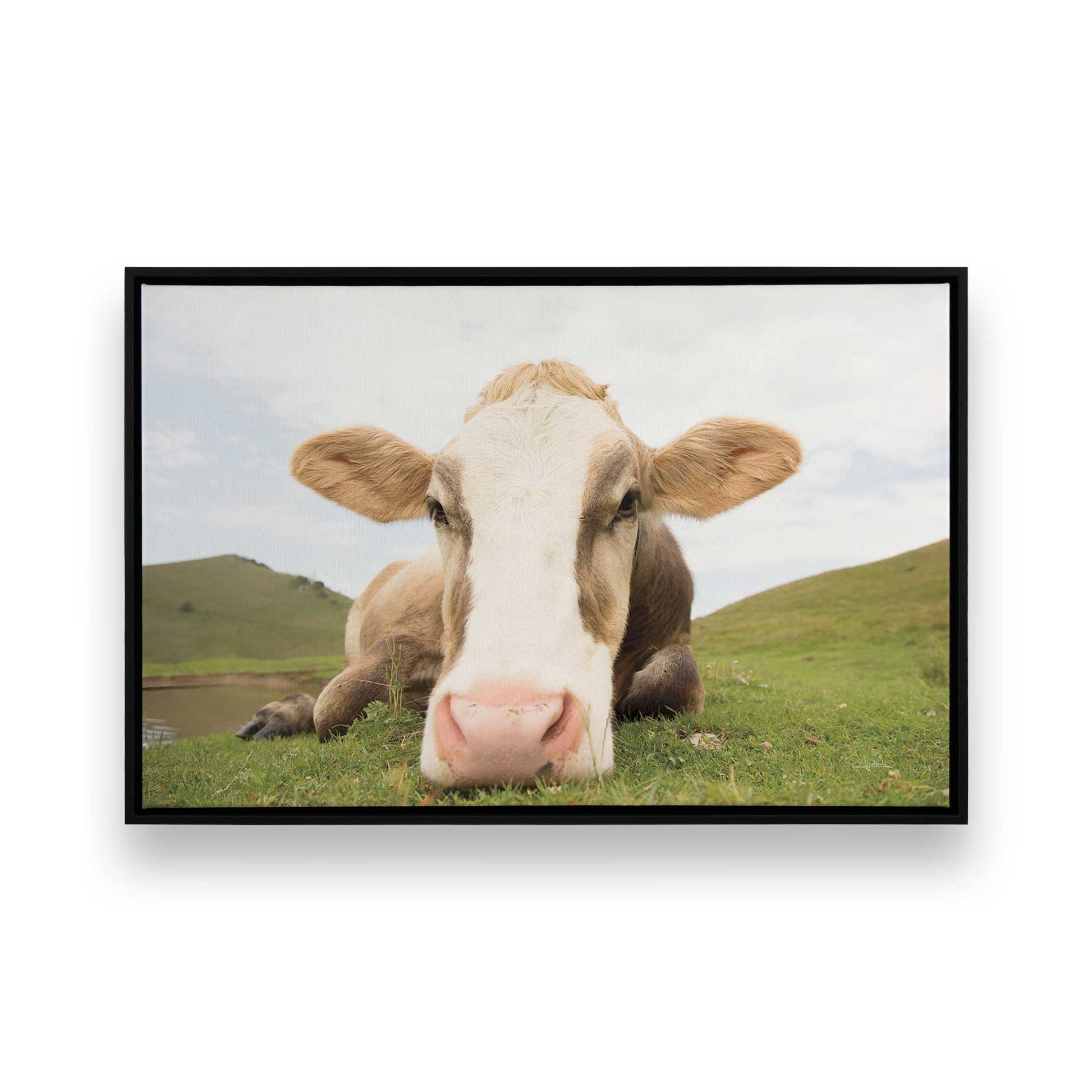 [Color:Satin Black], Picture of art in a Satin Black frame