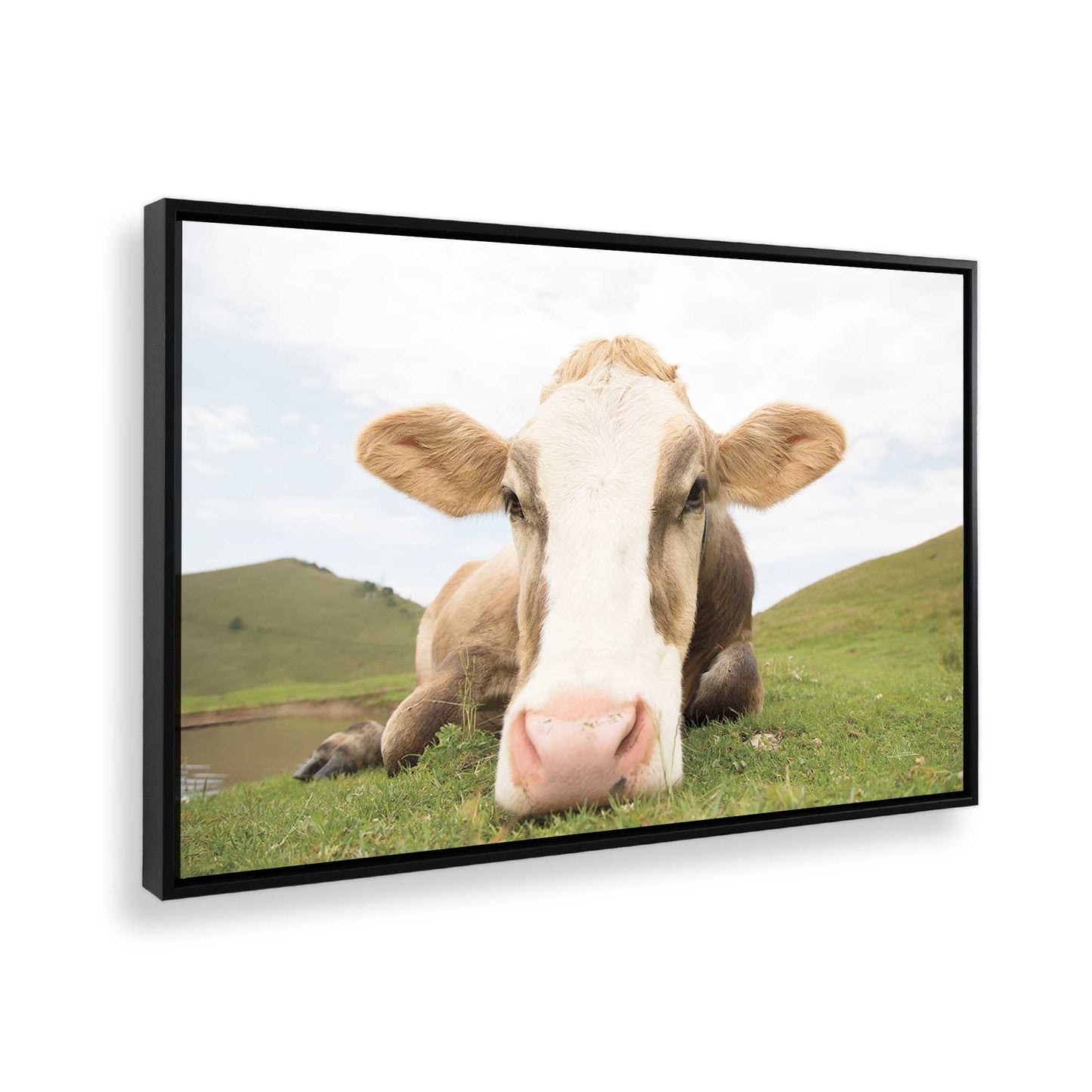 [Color:Satin Black], Picture of the corner of the art