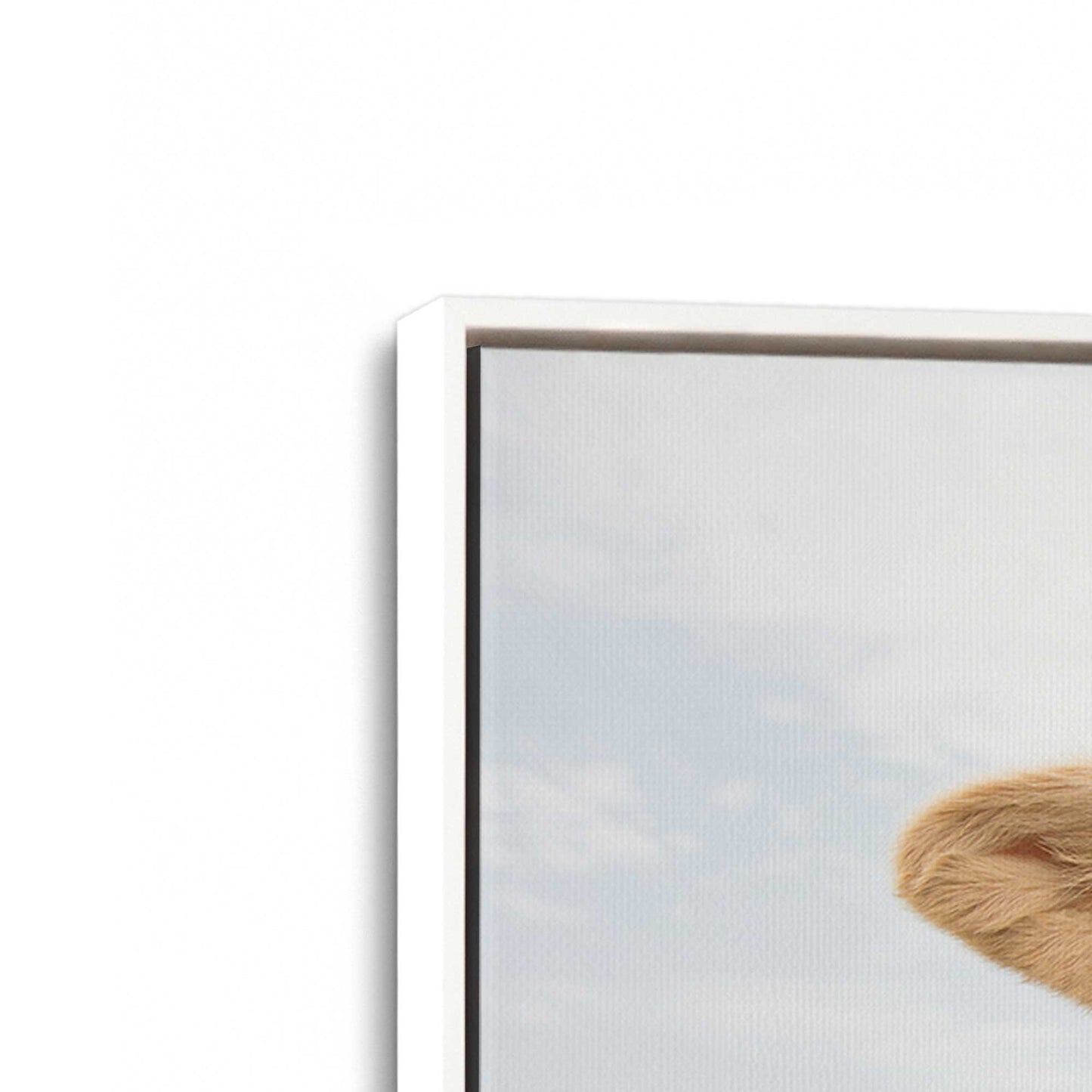 [Color:Opaque White], Picture of art in a White frame at an angle