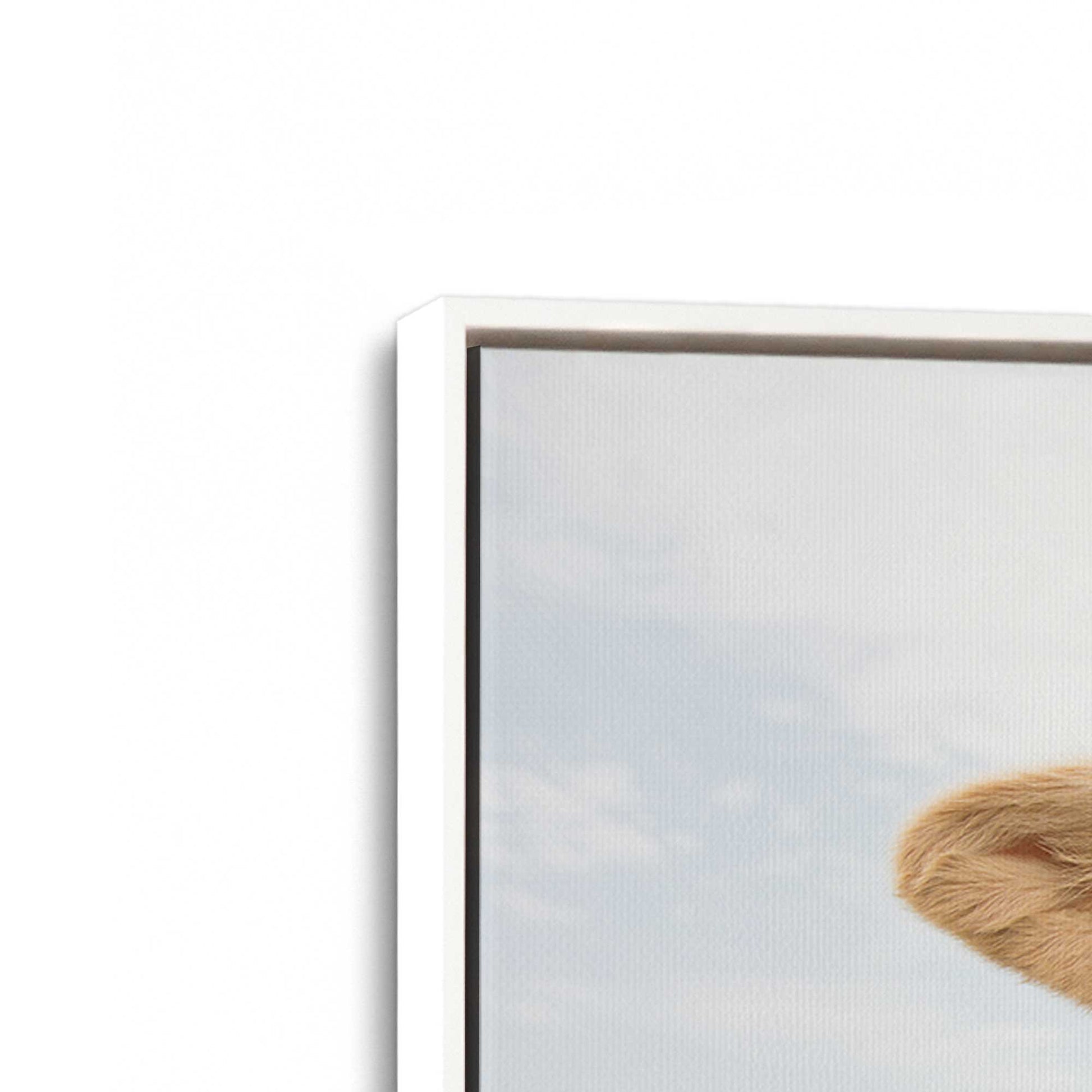 [Color:Opaque White], Picture of art in a White frame at an angle