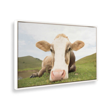 [Color:Opaque White], Picture of the corner of the art