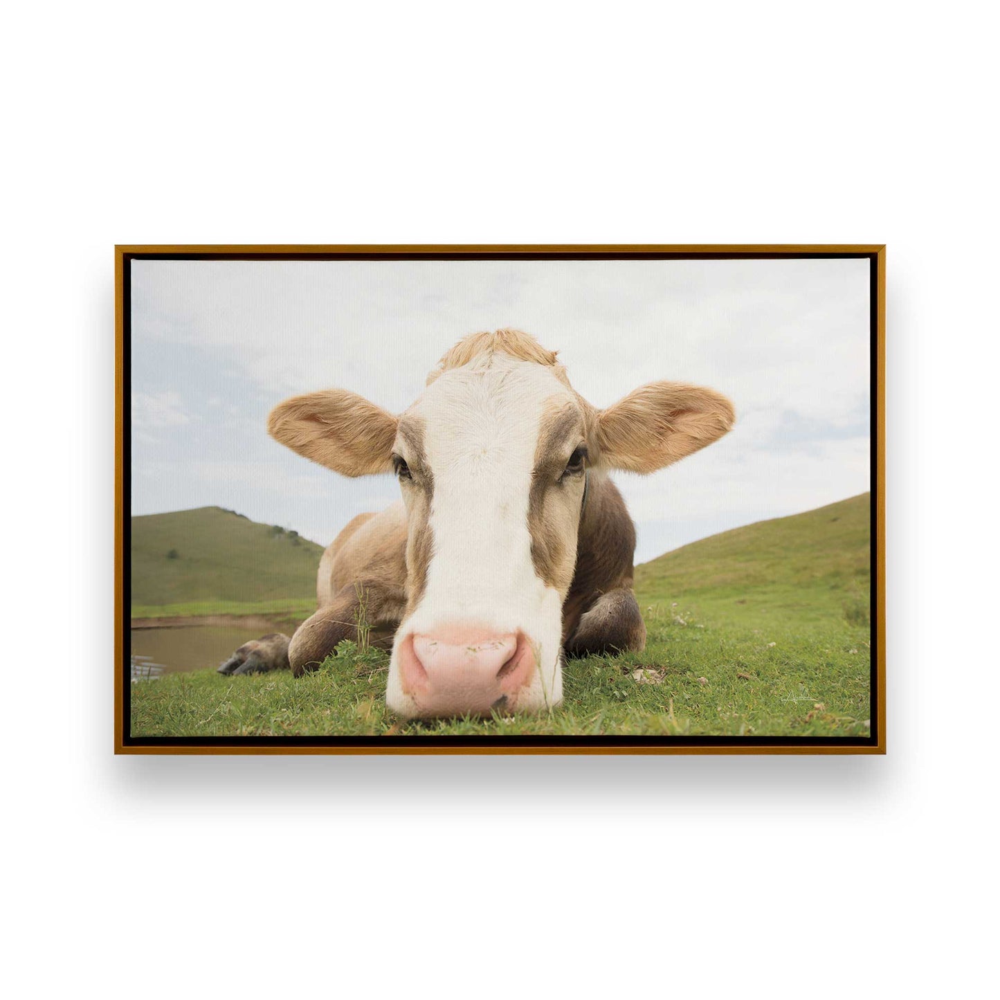 [Color:Polished Gold], Picture of art in a Polished Gold frame