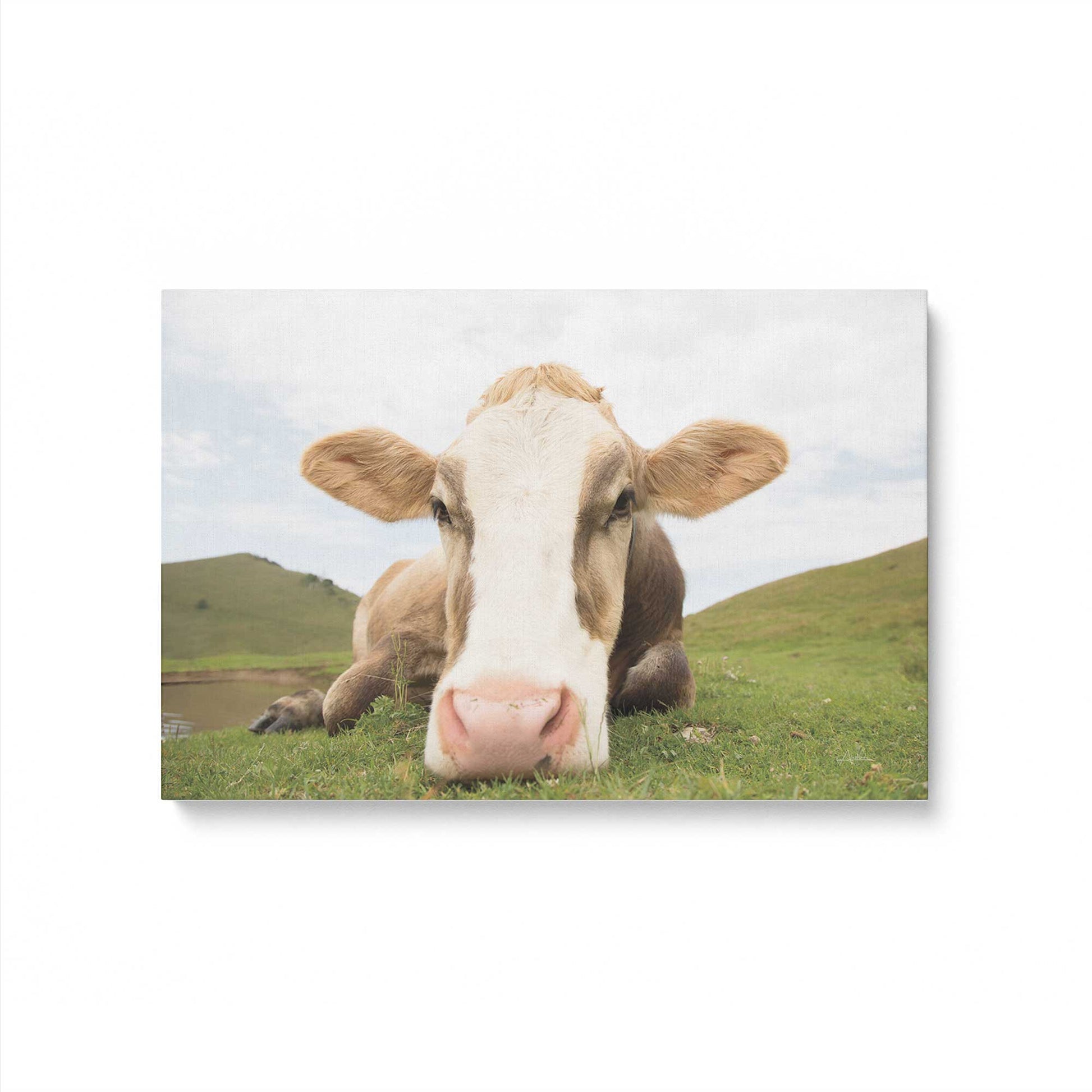 [Color:Stretched Canvas], Picture of art