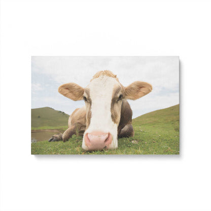 [Color:Stretched Canvas], Picture of art