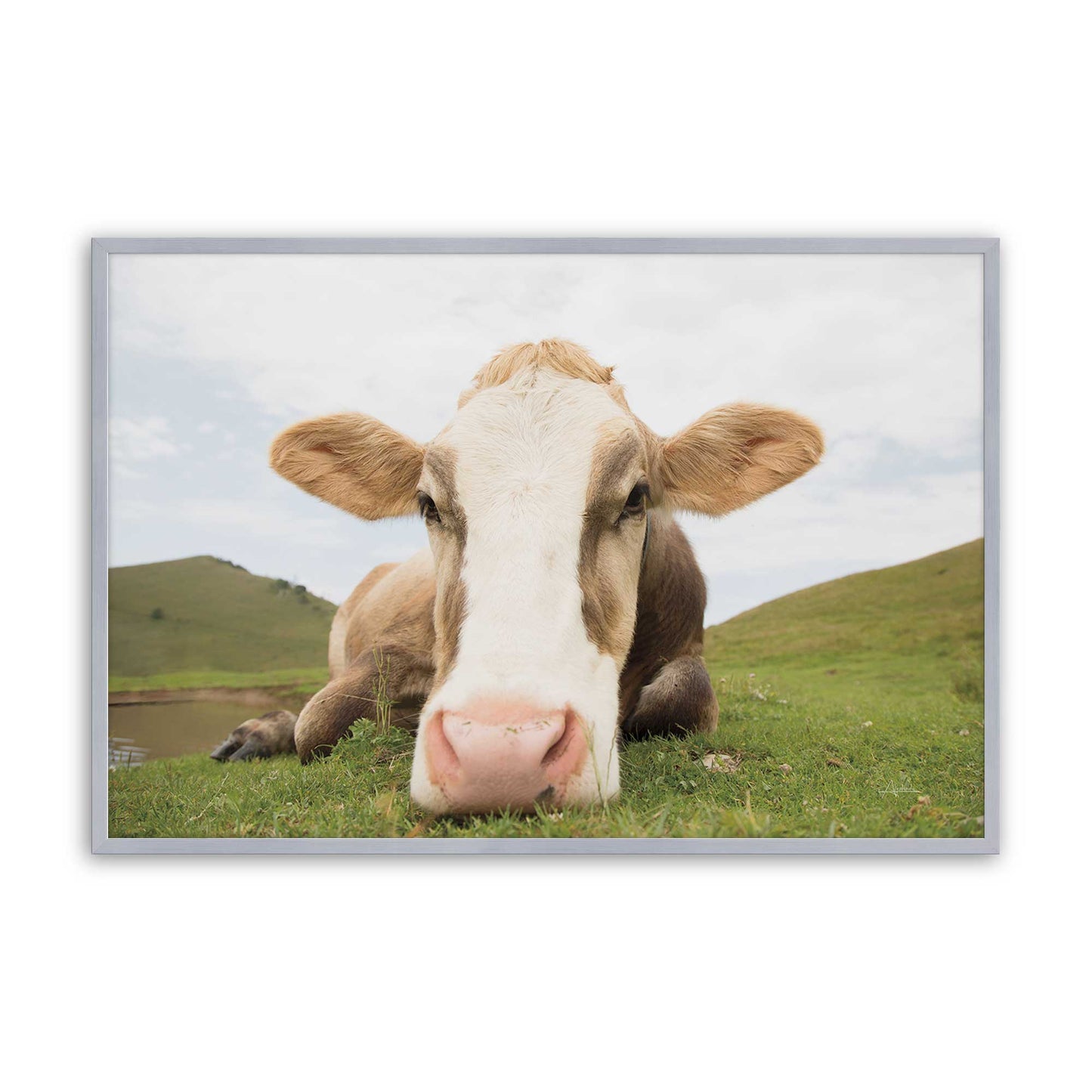 [Color:Polished Chrome], Picture of art in a Polished Chrome frame