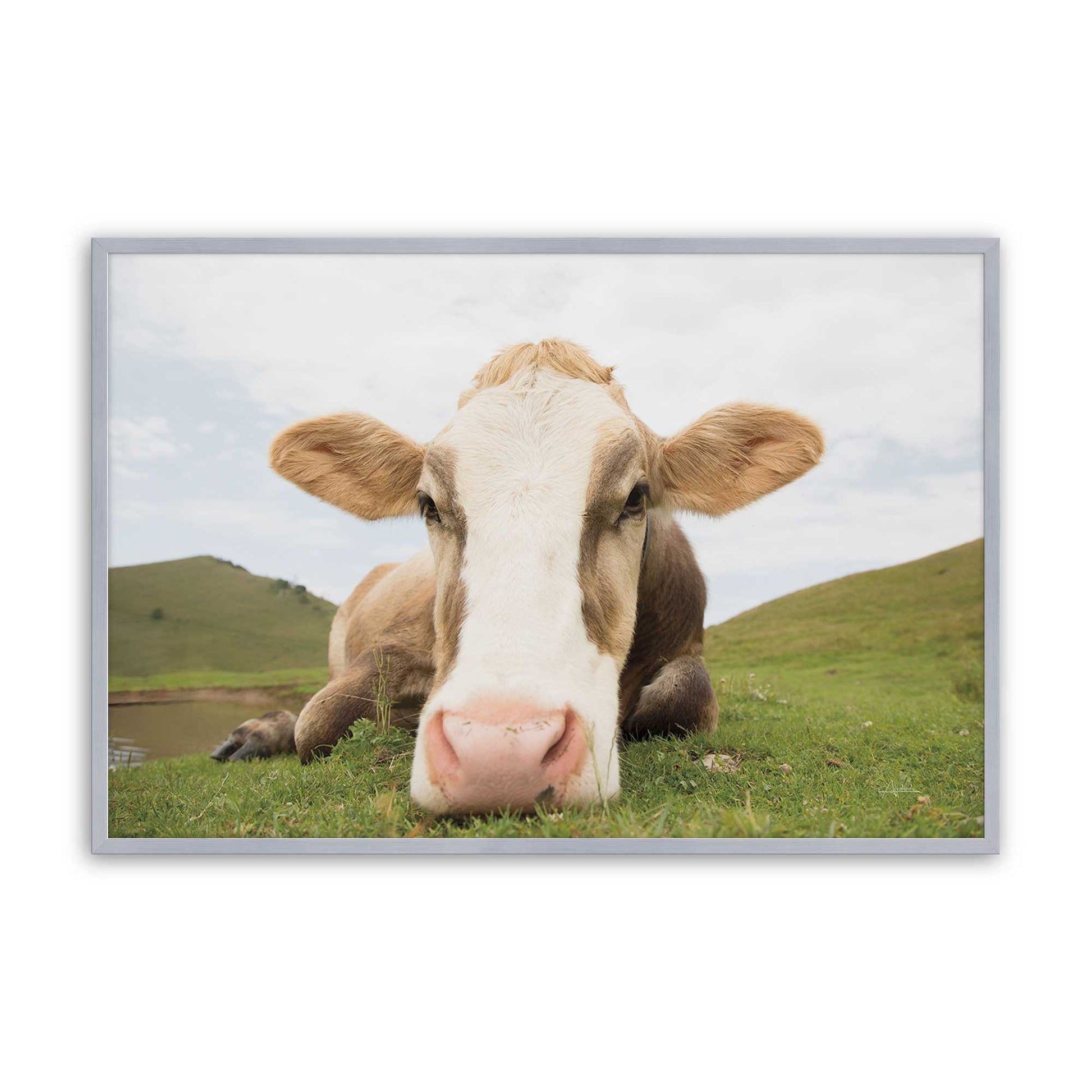 [Color:Polished Chrome], Picture of art in a Polished Chrome frame