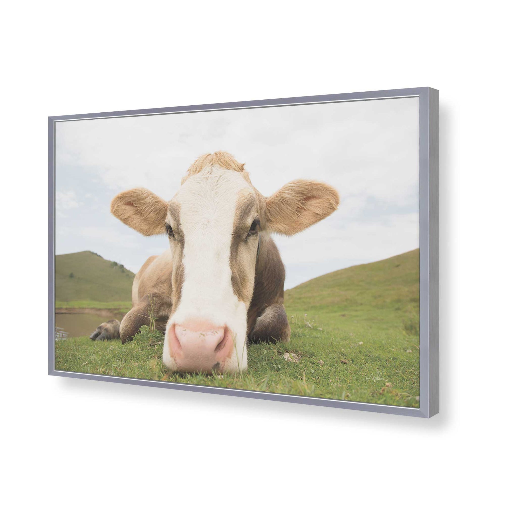 [Color:Polished Chrome], Picture of art in a Polished Chrome frame of the corner