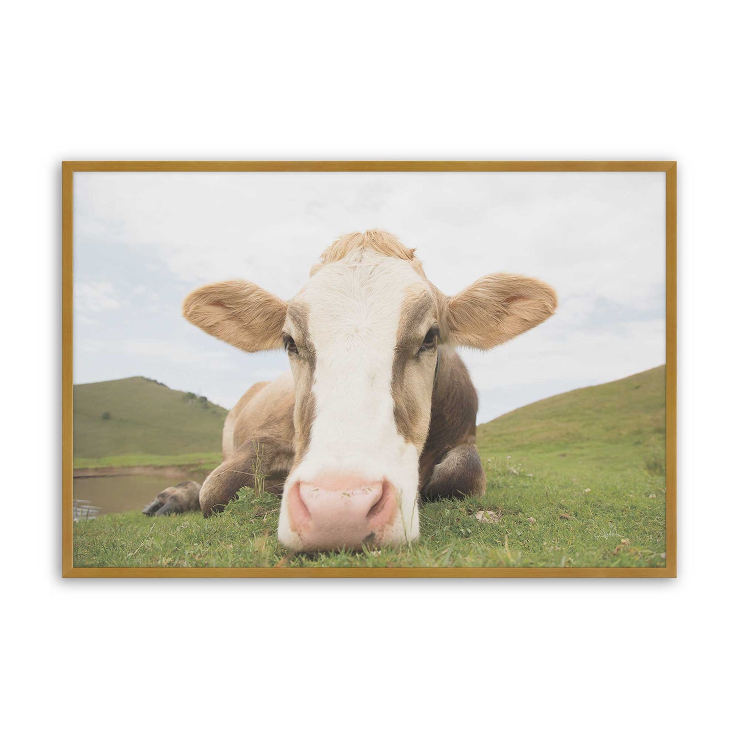 [Color:Polished Gold], Picture of art in a Polished Gold frame