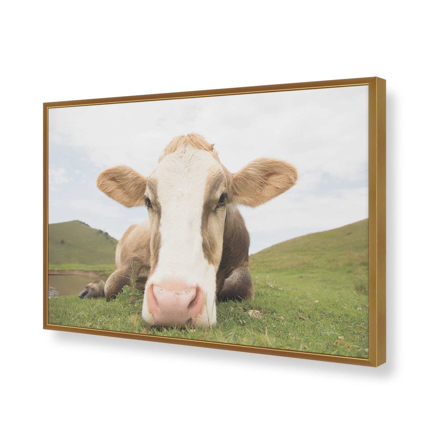 [Color:Polished Gold], Picture of art in a Polished Gold frame of the corner