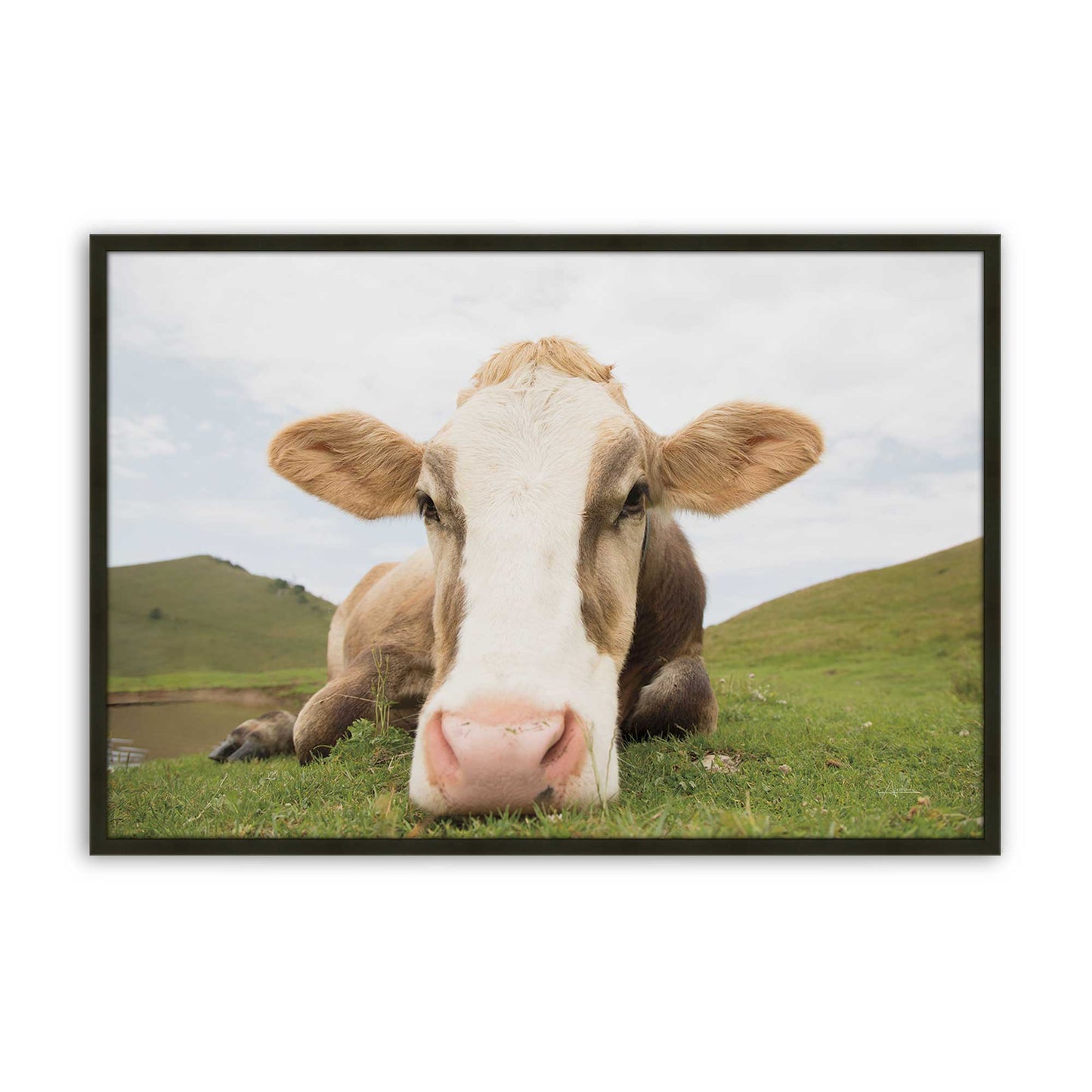 [Color:Satin Black], Front of the art