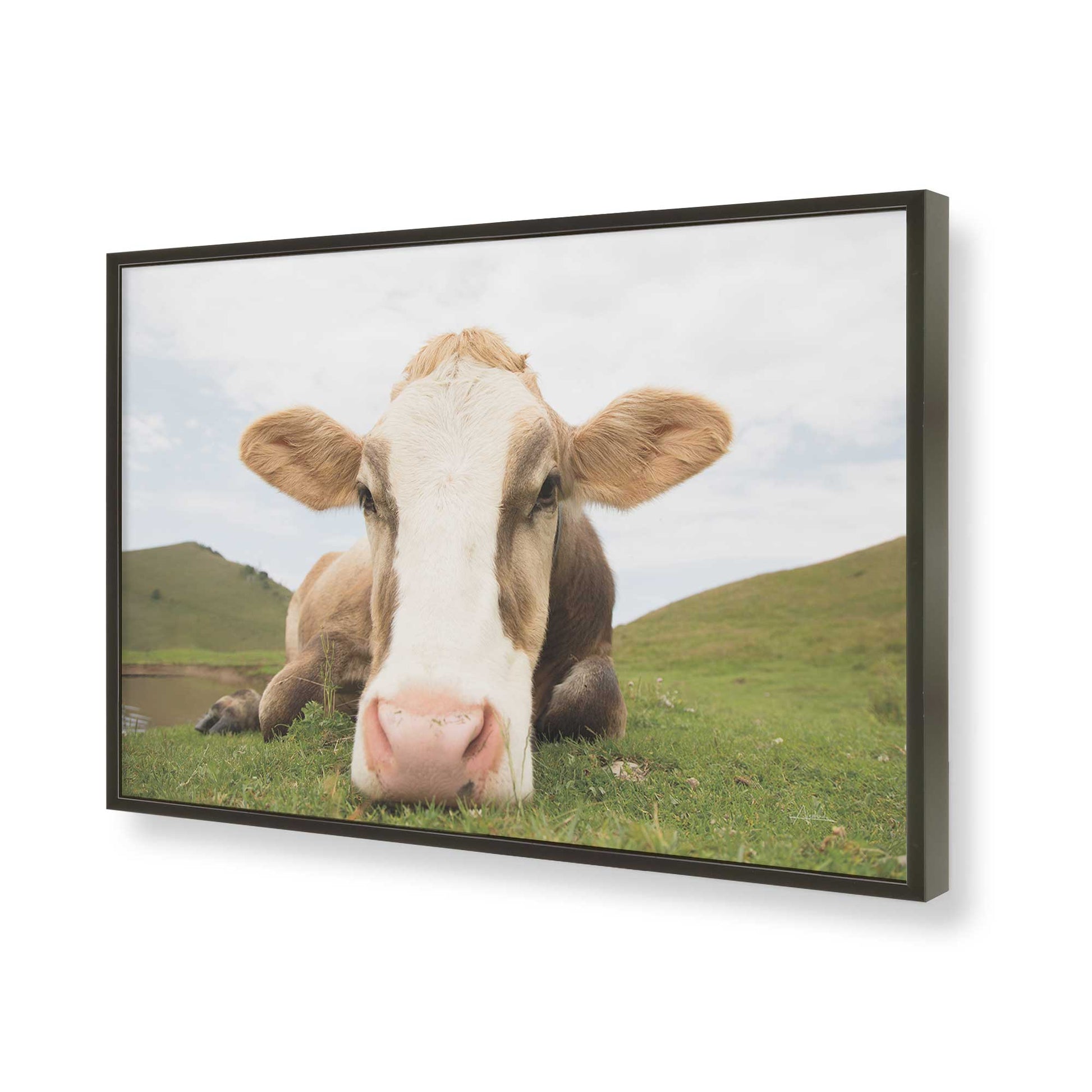 [Color:Satin Black], Picture of art in a Satin Black frame of the corner