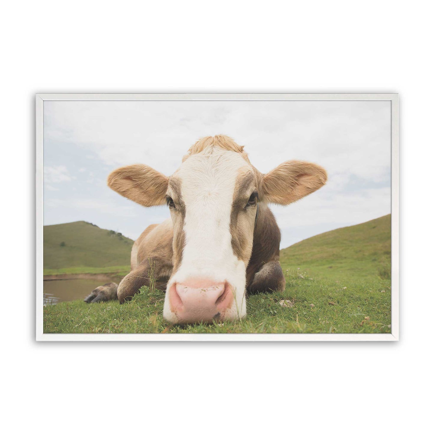 [Color:Opaque White], Picture of art in a Opaque White frame